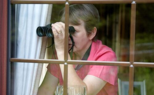 ‘Nosy neighbours won’t leave me alone – I can’t sit in my own garden’