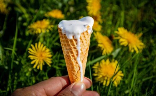 Discover what your ice cream eating style reveals about your personality traits